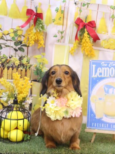 20240416めいちゃん